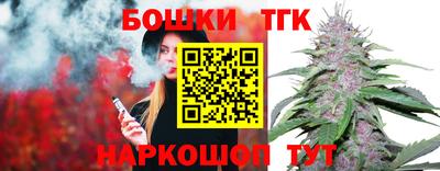 дживик Можга